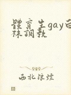 体育生gay白袜调教