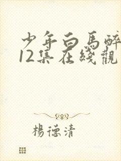 少年白马醉春风12集在线观看