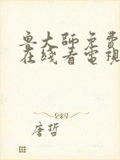 鲁大师免费高清在线看电视剧