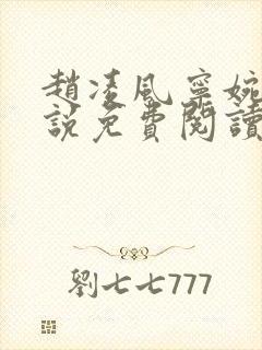赵凌风宁婉婉小说免费阅读无弹窗