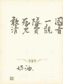敢死队一国语高清免费观看