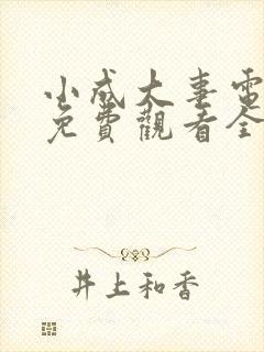 小成大事电视剧免费观看全集高清