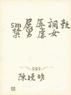 sm屈辱调教囚禁男虐女