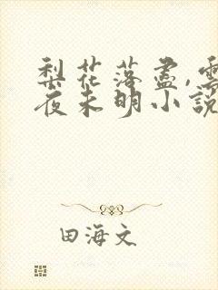 梨花落尽,云散夜未明小说免费全文