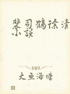 裴司鹤徐清窈的小说