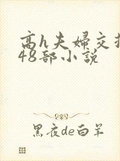 高h夫妇交换第48部小说