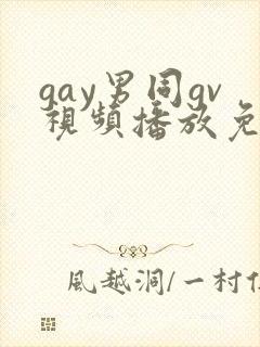 gay男同gv视频播放免费