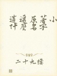 逍遥原著小说叫什么名字