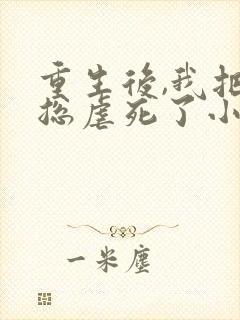 重生后,我把渣总虐死了小说txt封面