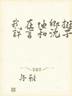 我在他乡挺好的许言和沈子畅结局封面
