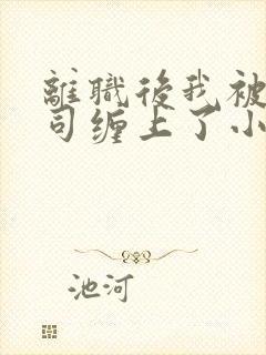 离职后我被前上司缠上了小说在线阅读