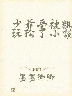 少爷受被粗汉H玩松了小说