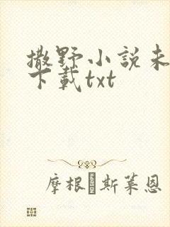 撒野小说未删版下载txt