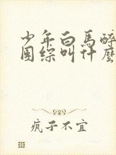 少年白马醉春风团综叫什么