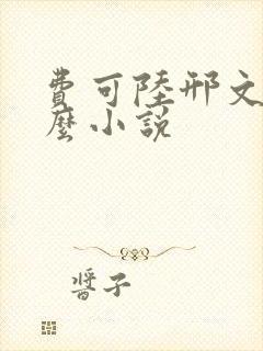 费可陆邢文是什么小说