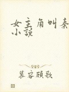 女主角叫秦晚的小说