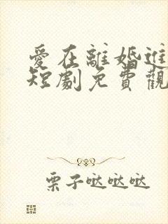爱在离婚进行时短剧免费观看