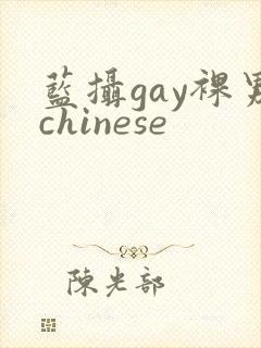 蓝摄gay裸男chinese