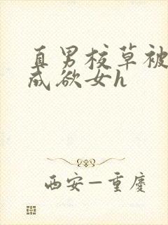 直男校草被调教成欲女h