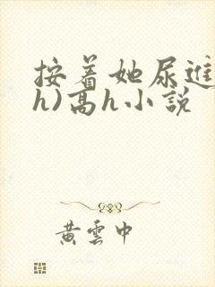 按着她尿进去(h)高h小说封面