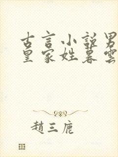 古言小说男主是皇家姓暮云封面