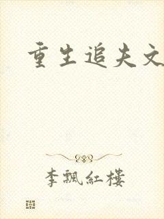 重生追夫文