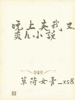 晚上夹我又紧又爽h小说