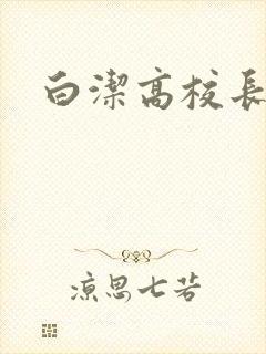 白洁高校长王申