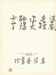 少帅你老婆又跑了爆火短剧