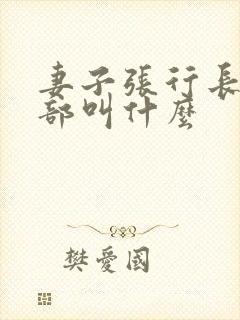 妻子张行长第二部叫什么封面