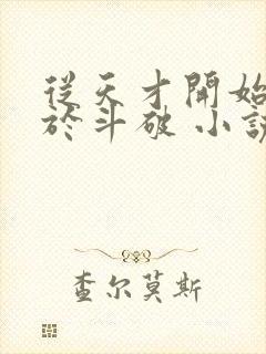 从天才开始无敌于斗破 小说