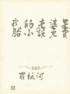 我的老婆是双胞胎小说免费阅读全本