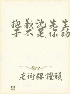 抱歉沈先生,孩子不是你的免费观看