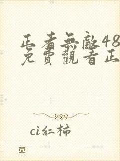 正者无敌48集免费观看正片封面