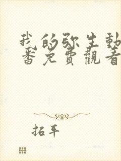 我的弥生动漫旧番免费观看封面