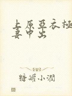 上原亚衣极品人妻中出