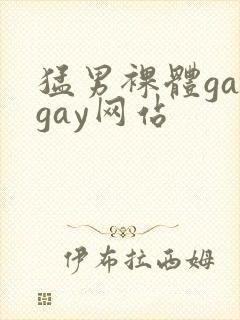 猛男裸体gaygay网站