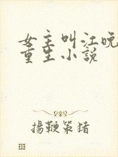 女主叫江晚意的重生小说