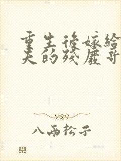重生后嫁给了渣夫的残废哥封面