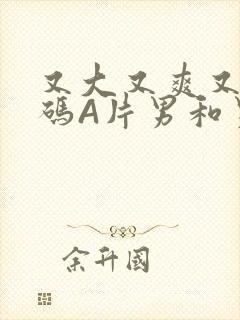 又大又爽又黄无码A片男和男