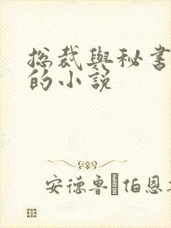 总裁与秘书高干的小说