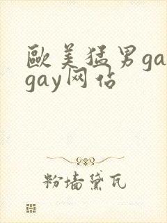 欧美猛男gaygay网站