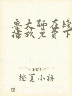 鲁大师在线视频播放免费下载电视剧