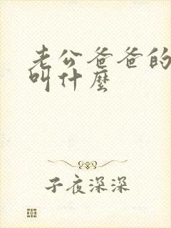 老公爸爸的哥哥叫什么