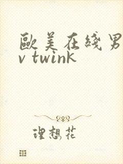 欧美在线男男gv twink