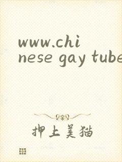 www.chinese gay tube.com