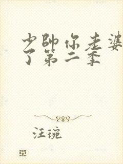 少帅你老婆又跑了第二季封面
