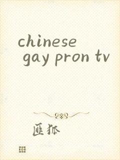 chinese gay pron tv
