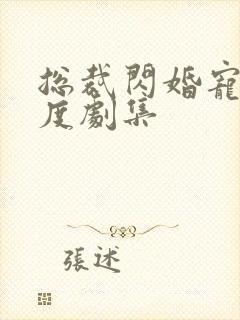 总裁闪婚宠妻无度剧集