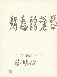 新来的总裁竟是闪婚的老公无弹窗